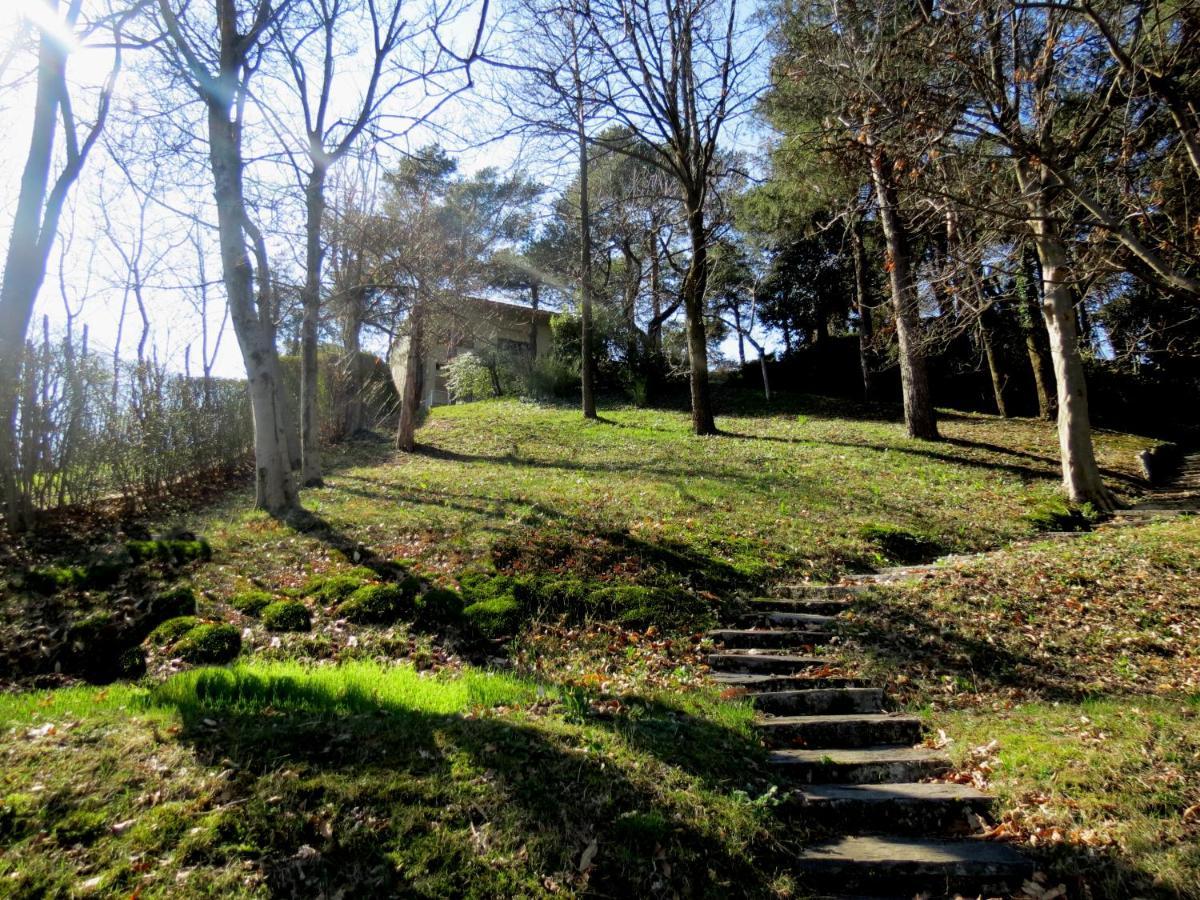 Studio - Villa Cardano Como Bagian luar foto